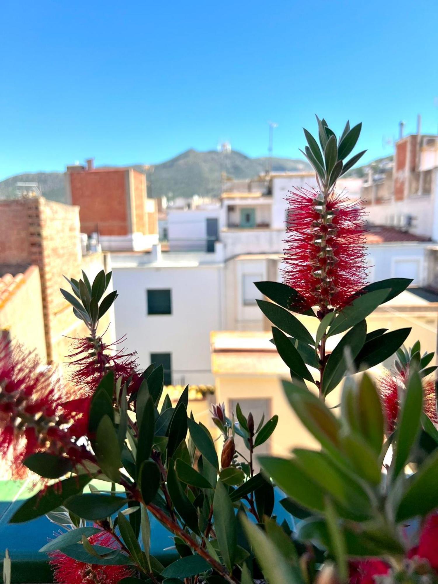 Escondite Central Con Terraza Compartida En La Azotea Roses Exterior photo